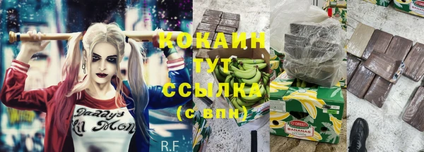 винт Алзамай