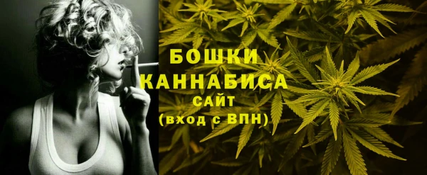 шишки Нягань