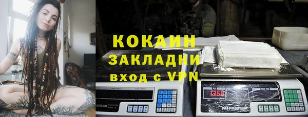 шишки Нягань