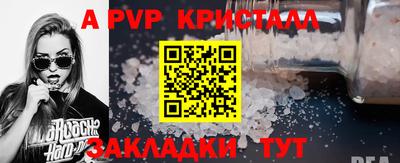 СК Рыбинск