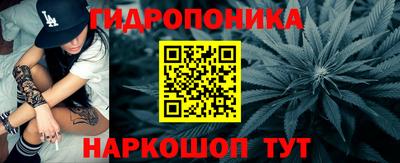 СК Рыбинск