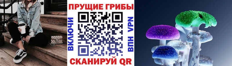 Галлюциногенные грибы MAGIC MUSHROOMS  блэк спрут как войти  Саратов  где можно купить наркотик 